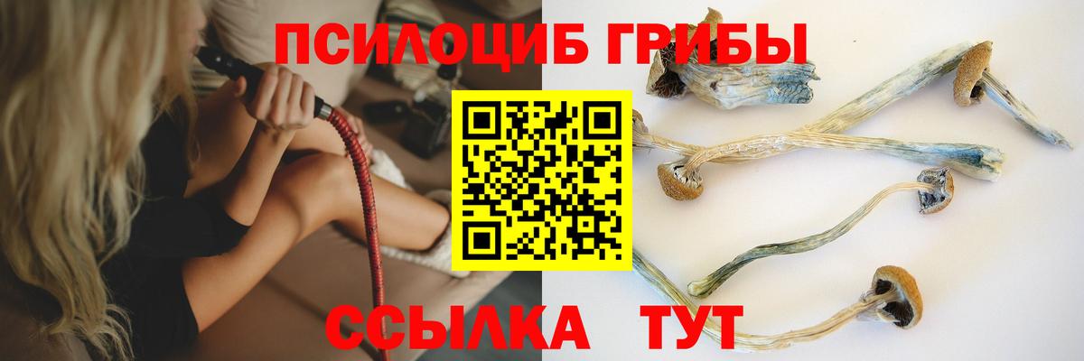 Нижний Новгород  Псилоцибиновые грибы Psilocybe  купить закладку  Вход с VPN 