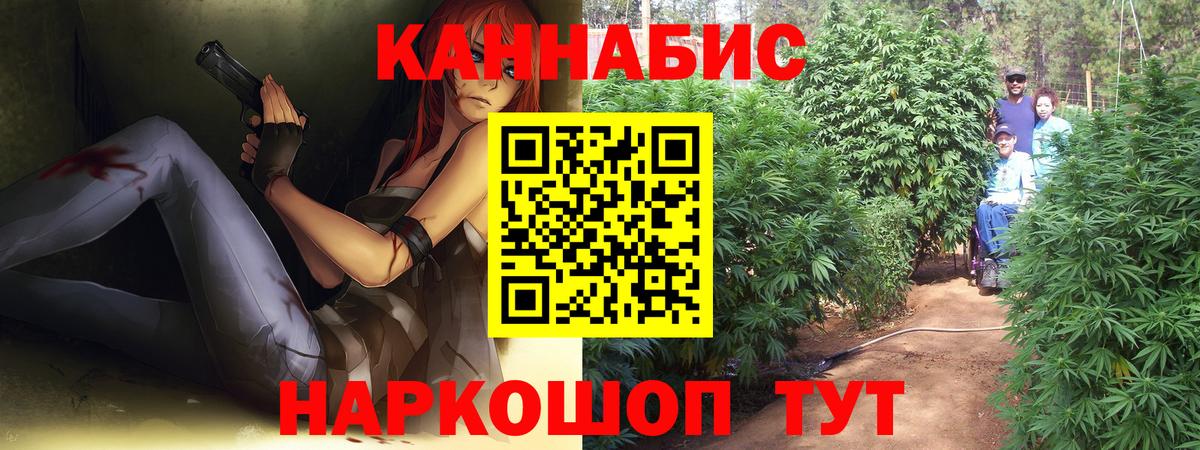 Шишки марихуана планчик Нижний Новгород